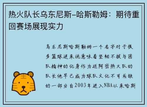 热火队长乌东尼斯-哈斯勒姆：期待重回赛场展现实力