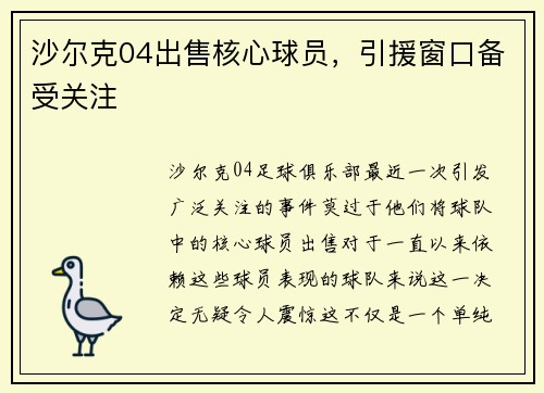沙尔克04出售核心球员，引援窗口备受关注